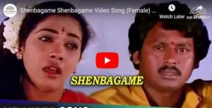 Shenbagame Shenbagame (Female Version) Song Lyrics from Enga Ooru Pattukaran Tamil Movie